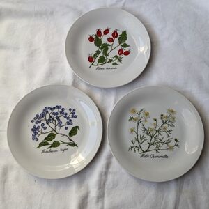 Vintage Seltmann Weiden W Germany Floral Snack Plates Red Blue White - 3